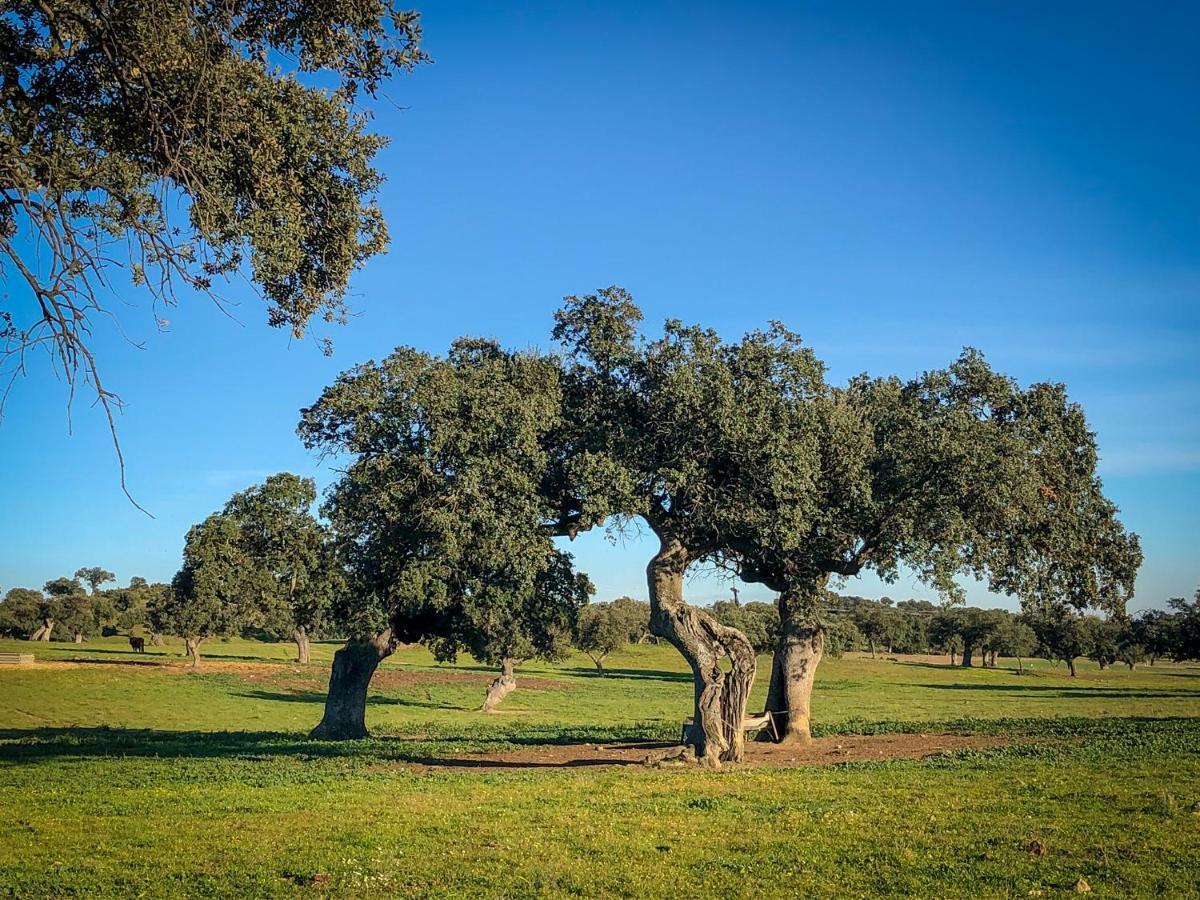 La Hermandad De Villalba Villalba de los Barros Eksteriør bilde
