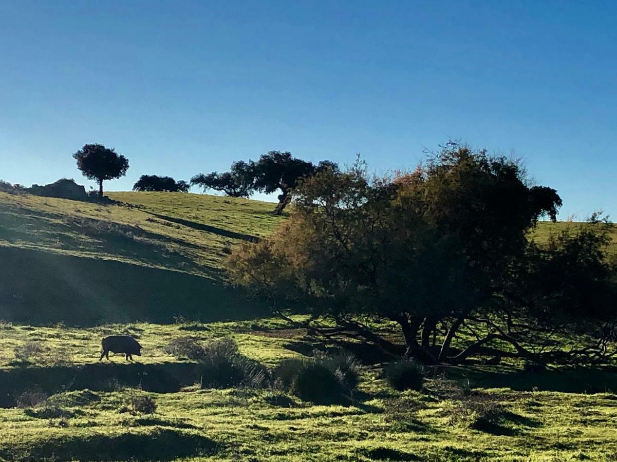 La Hermandad De Villalba Villalba de los Barros Eksteriør bilde